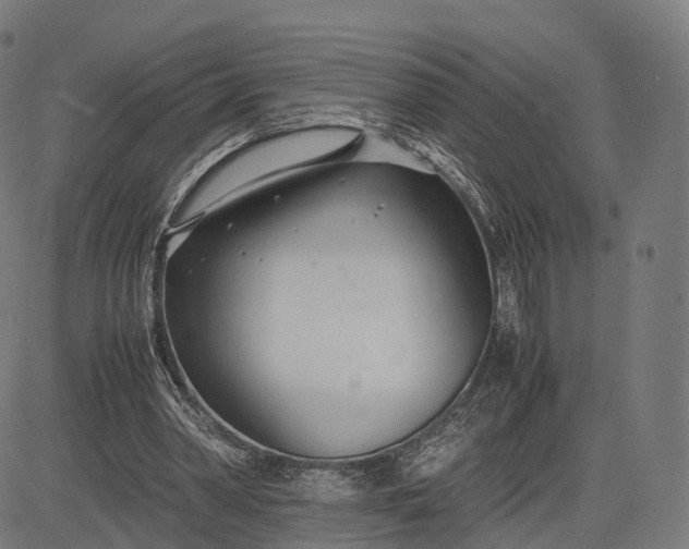 X0000083060390200702161802