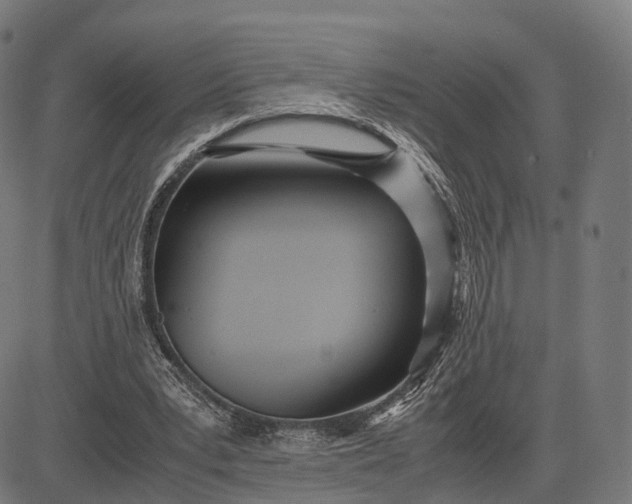 X0000083060391200702161802