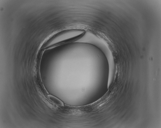 X0000083060392200702161802