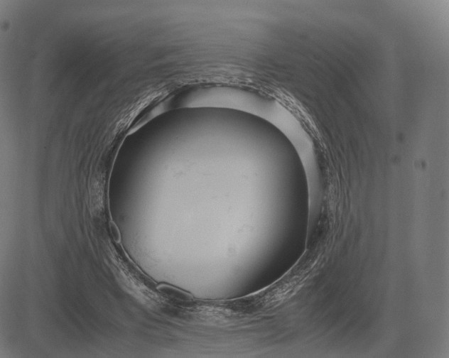 X0000083060393200702161802