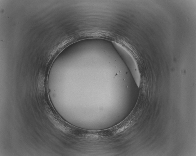 X0000083060394200702161802