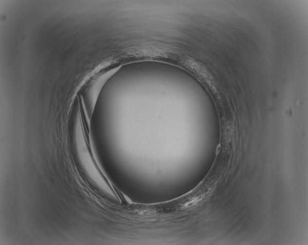 X0000083060395200702161802