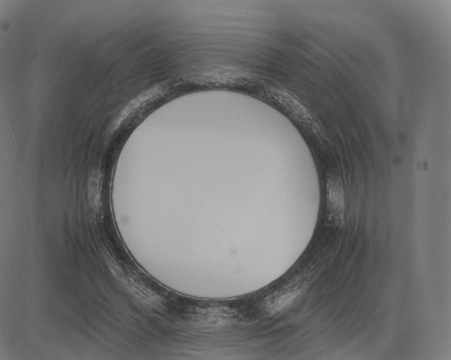 X0000083060396200702161802