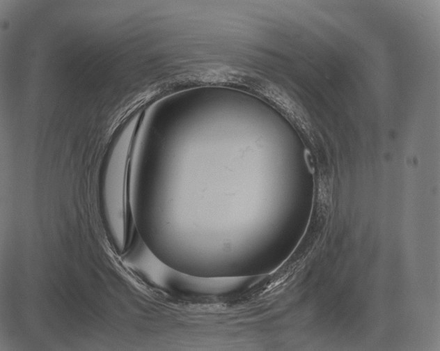 X0000083060397200702161802