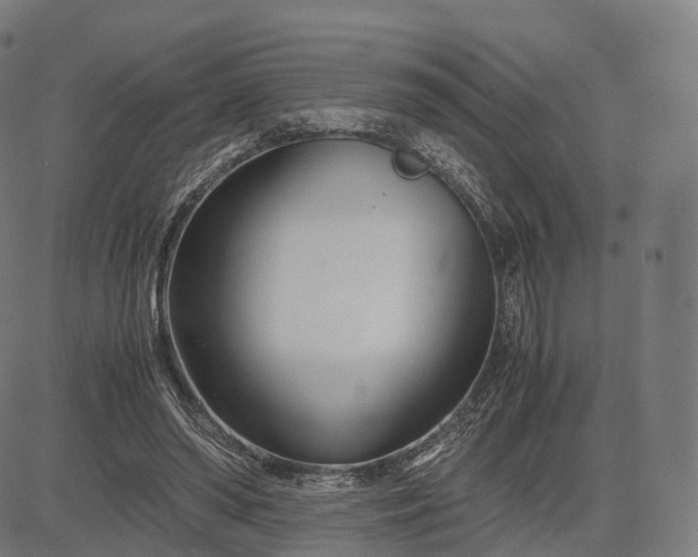 X0000083060398200702161802