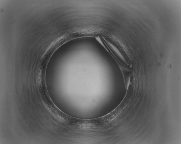 X0000083060400200702161802