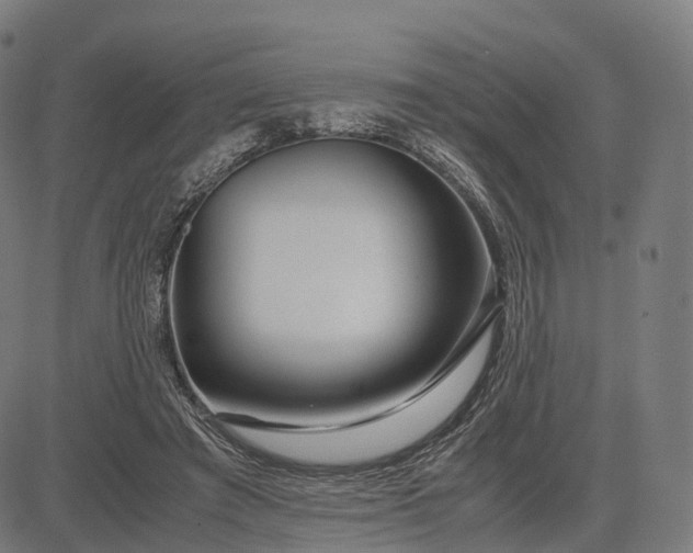 X0000083060401200702161802