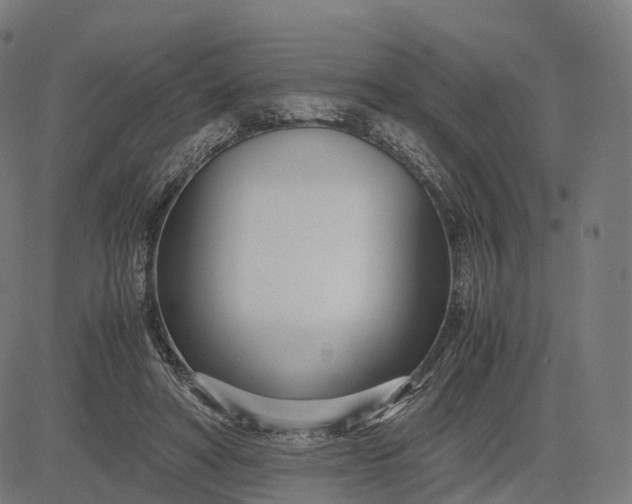 X0000083060402200702161801