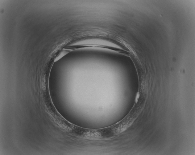 X0000083060403200702161801