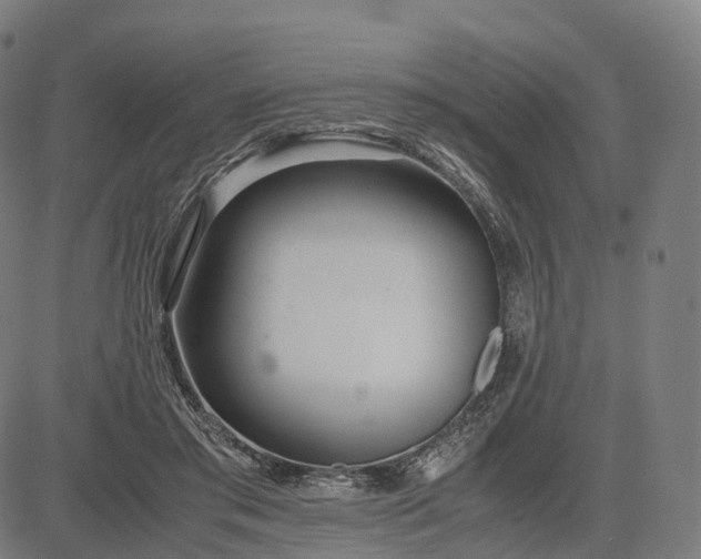 X0000083060405200702161801