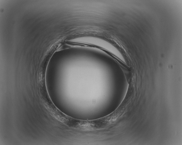 X0000083060407200702161801