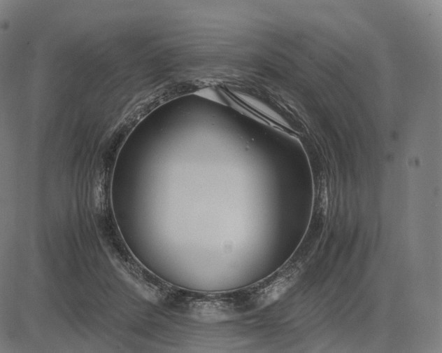 X0000083060408200702161801