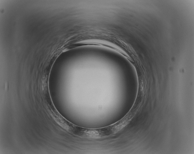 X0000083060409200702161801