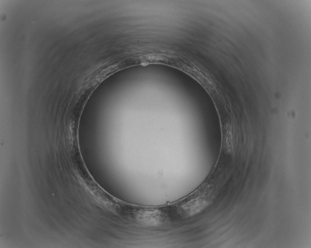 X0000083060410200702161801