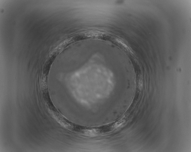 X0000083060411200702161801