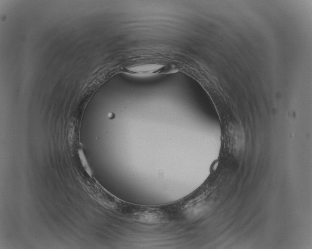 X0000083060412200702161801