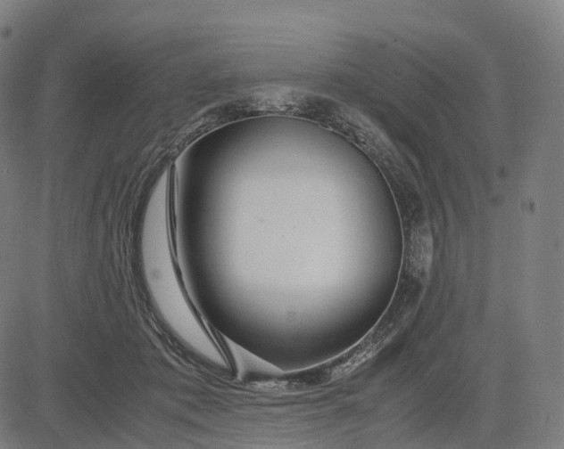 X0000083060413200702161801