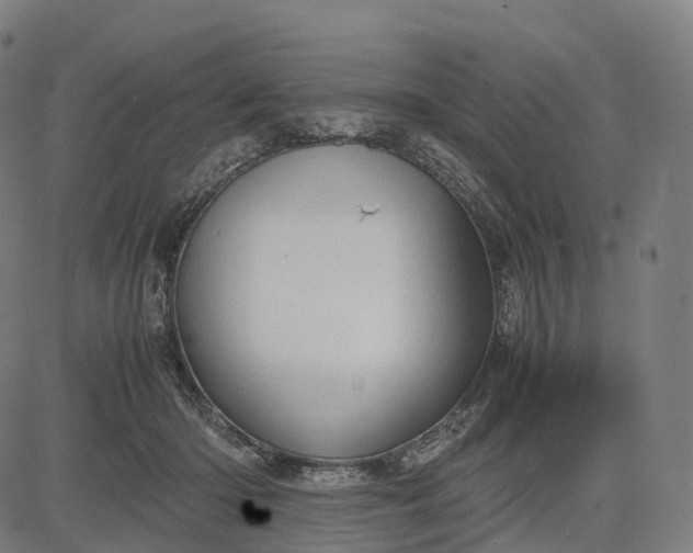 X0000083060414200702161801