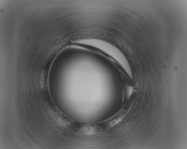 X0000083060416200702161801