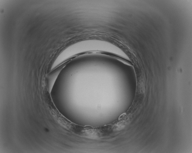 X0000083060417200702161801