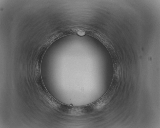 X0000083060418200702161801