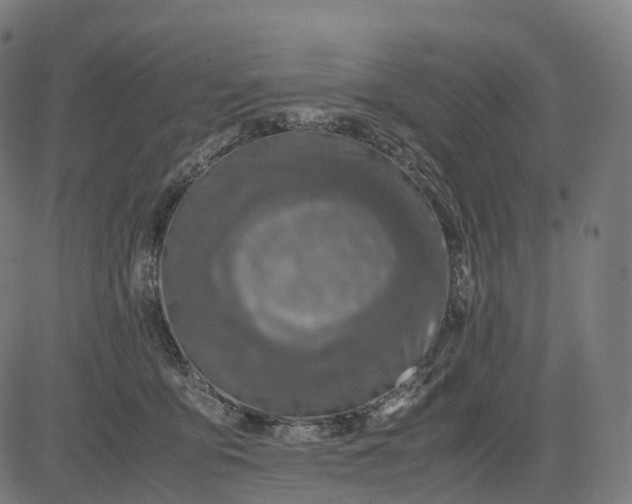 X0000083060419200702161801