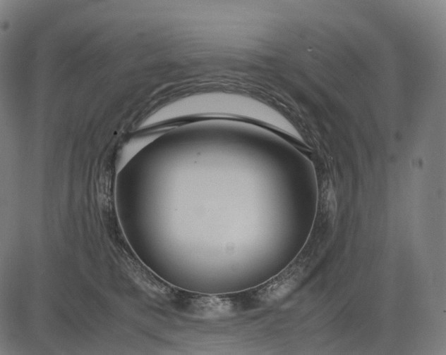 X0000083060421200702161801