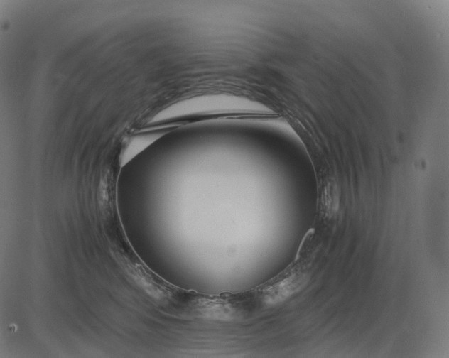 X0000083060424200702161801