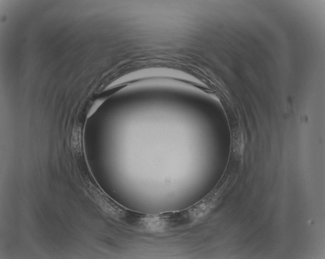 X0000083060425200702161801