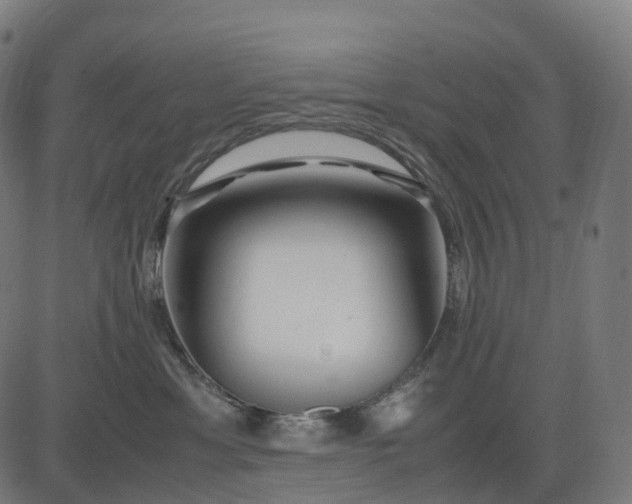 X0000083060429200702161801