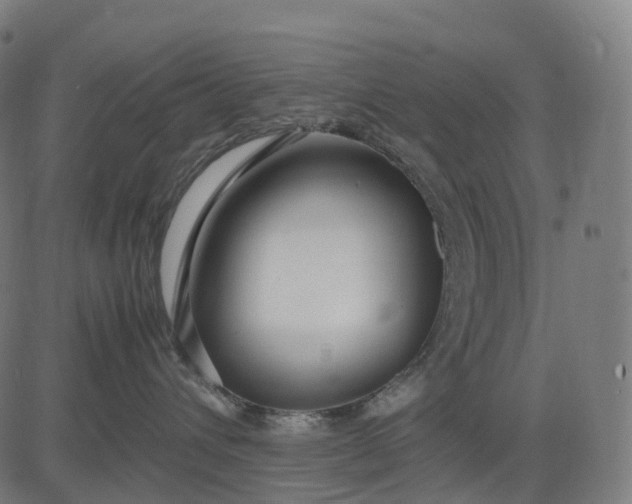 X0000083060432200702161801