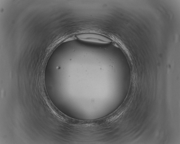 X0000083060433200702161800