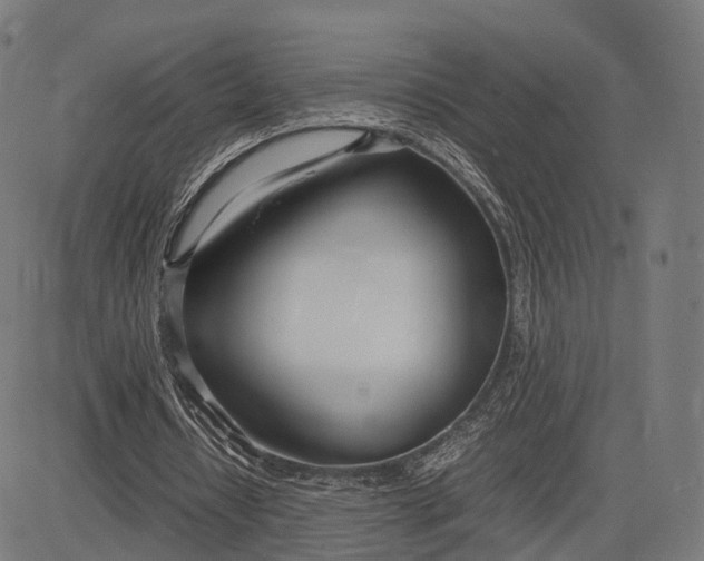 X0000083060434200702161800