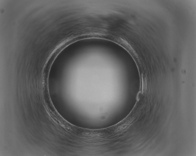 X0000083060435200702161800