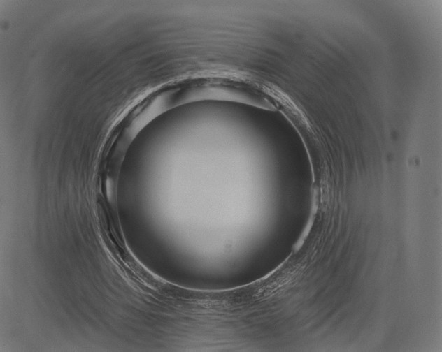 X0000083060436200702161800