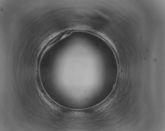 X0000083060437200702161800