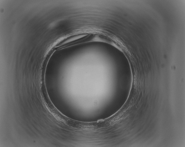 X0000083060438200702161800