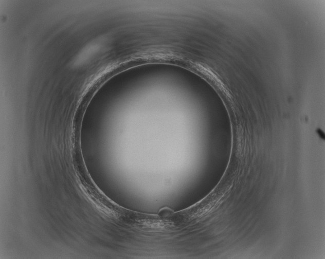 X0000083060439200702161800