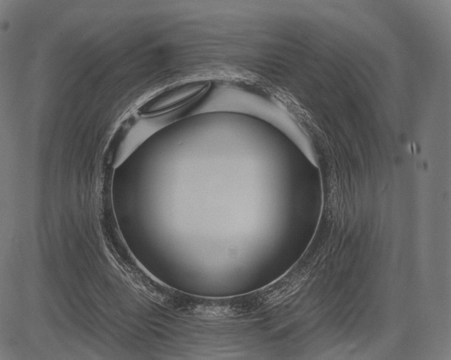 X0000083060440200702161800