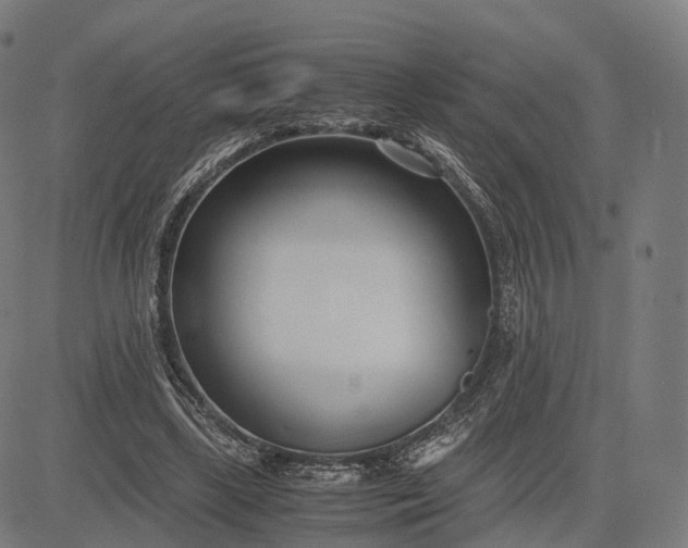 X0000083060443200702161800