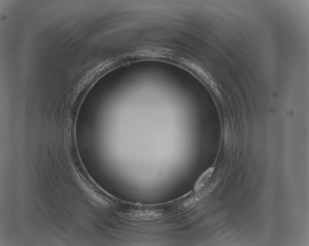 X0000083060445200702161800