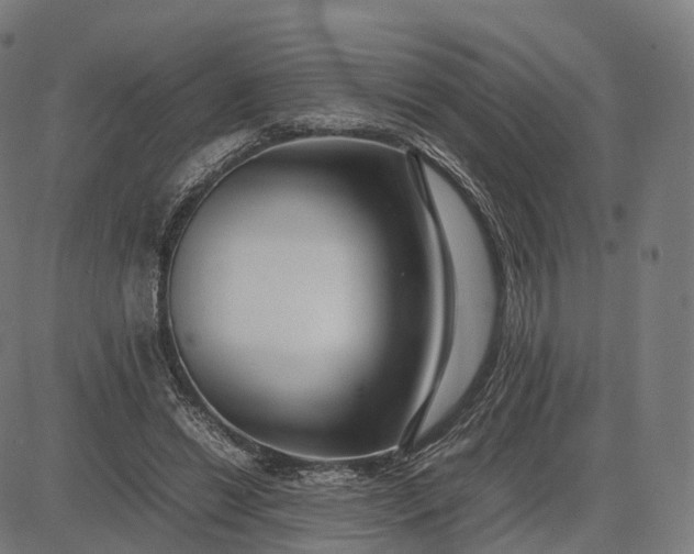 X0000083060446200702161800