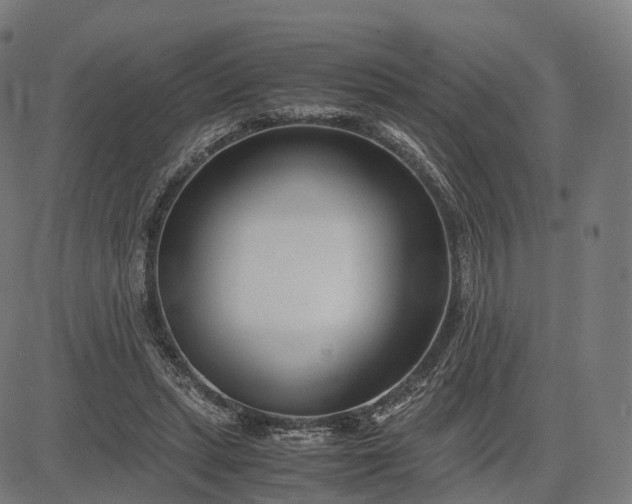 X0000083060447200702161800