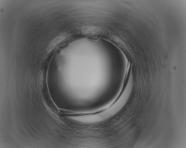 X0000083060448200702161800