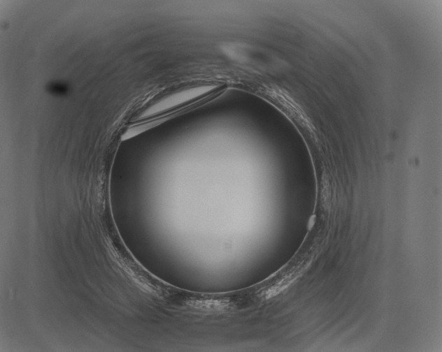 X0000083060449200702161800