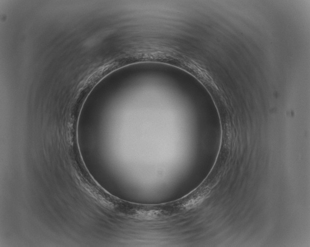 X0000083060450200702161800