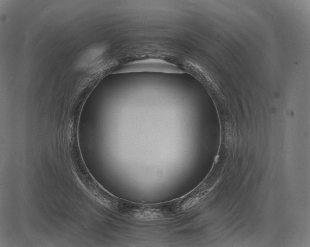 X0000083060451200702161801