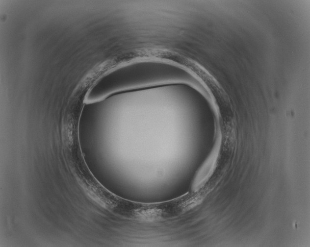 X0000083060452200702161801