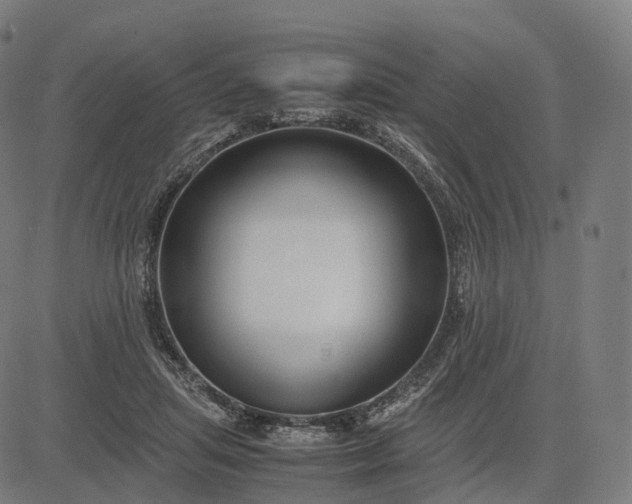 X0000083060455200702161801