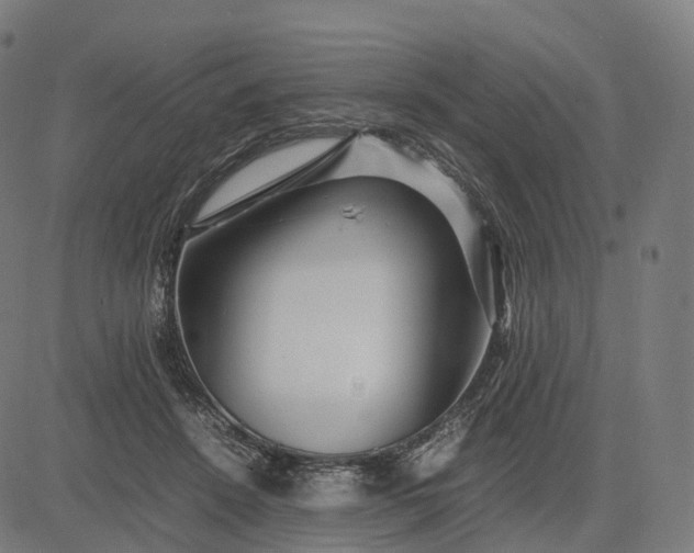 X0000083060456200702161801